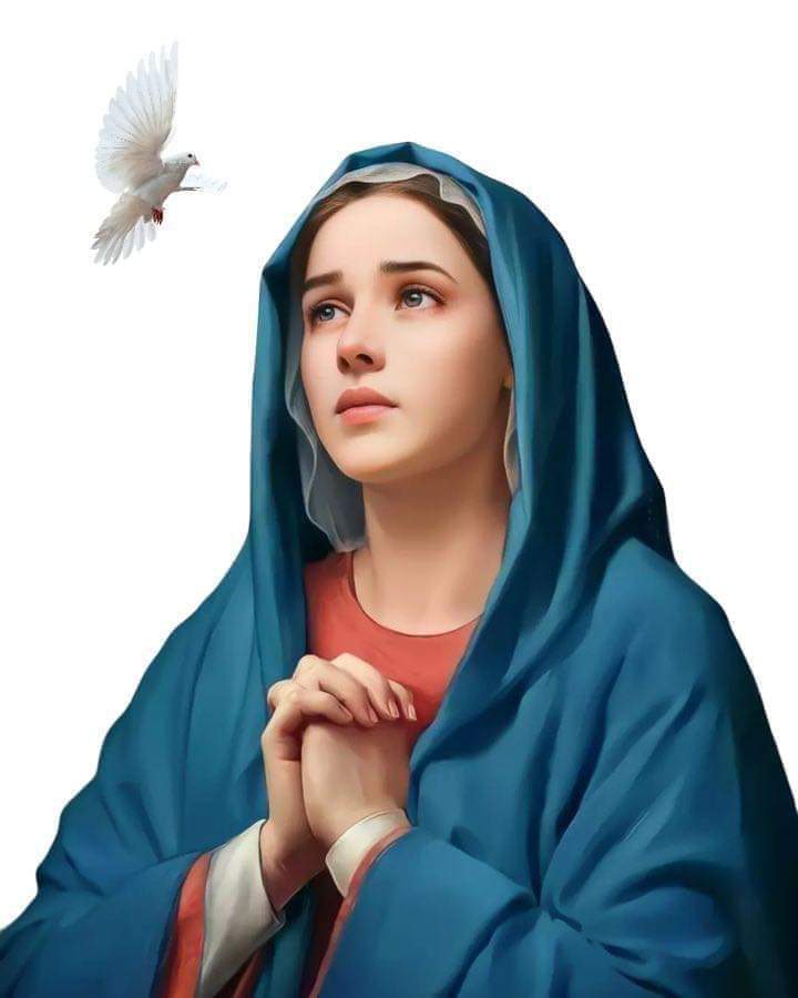 Tunaukimbilia, ulinzi wako mzazi Mtakatifu wa Mungu, usitunyime tukiomba katika shida zetu, utuokoe kila siku tuingiapo hatarini, Ee Bikira Mtukufu mwenye baraka, Amina.🙏

Mama, Tazama wanao!