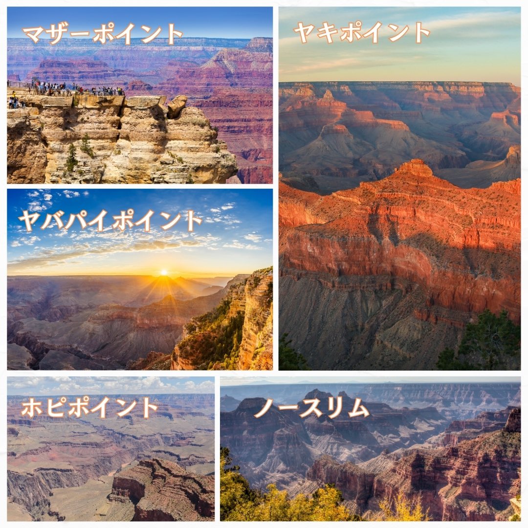NevadaKanko's tweet photo. グランドキャニオンはアメリカ・アリゾナ州にある、壮大な自然の奇跡です！🏞✨
お問い合わせ・詳細は公式サイト・Instagram DM・LINE(nevakanlv)からお気軽にどうぞ✨
🗺URL(https://t.co/7CwDnLJu9E)は、プロフィール欄に記載しております🔗
キャンペーン中ですので、ぜひＨＰ覗いてみて下さいねー https://t.co/f27Xcgz5uM