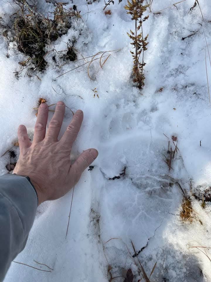 Rick 🇨🇦🍒 tweet media