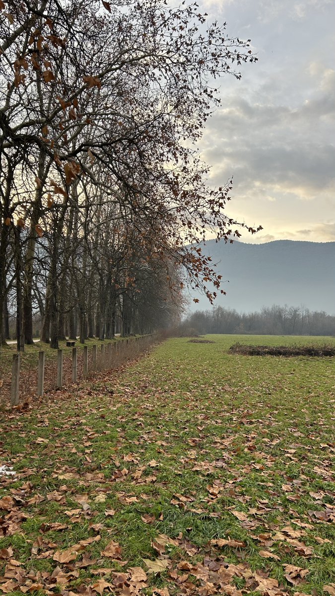 muhammed ali tweet media