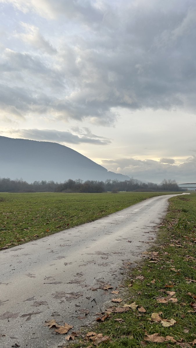 muhammed ali tweet media