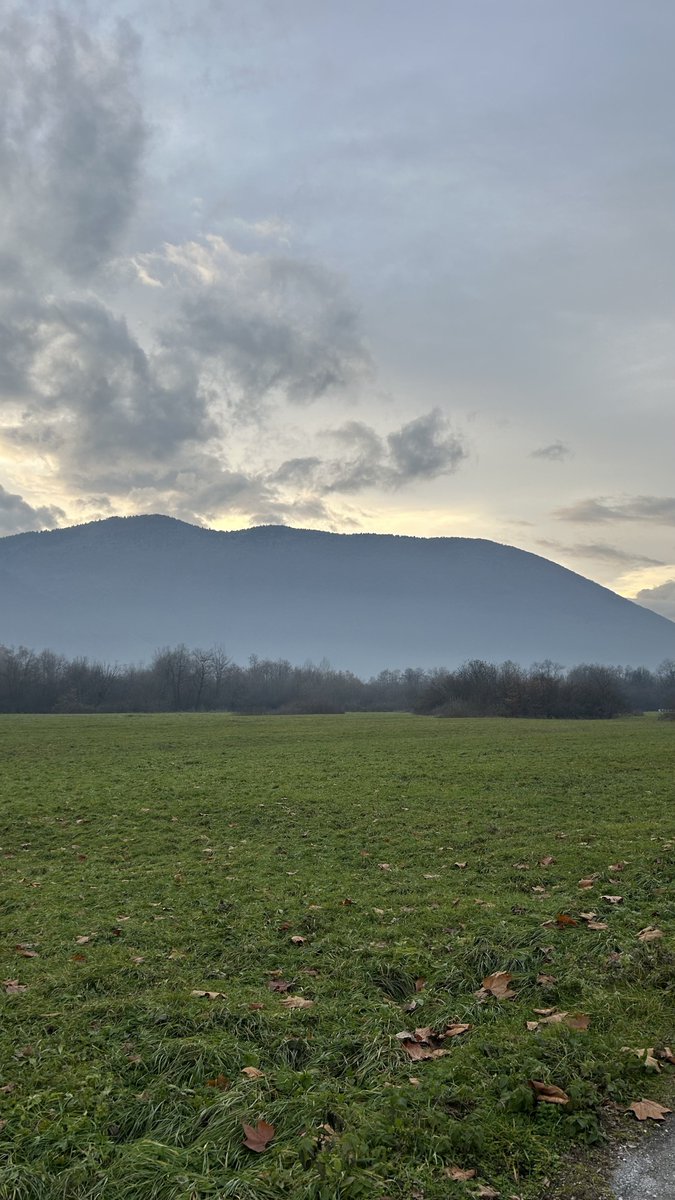 muhammed ali tweet media