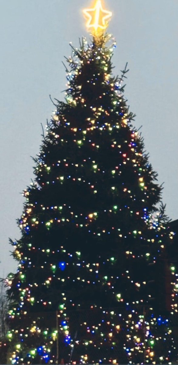 MelSmith9999's tweet photo. A patient on Bassett Ward turns Chandlers Ford Xmas tree lights on every year but this year couldn’t, until Bassett staff heard this sad news, pulled a few strings and Alan managed to turn them on live from our day room. This made his and our day what an amazing thing to do 🥰 https://t.co/Tx22qzCqpF
