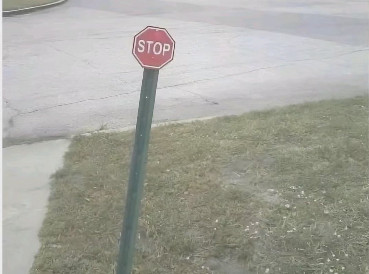 Cuando ves a tu amiga como loca comprando en Black Friday pero no querés frenarla del todo porque siempre le sacas la ropa a ella… 😝