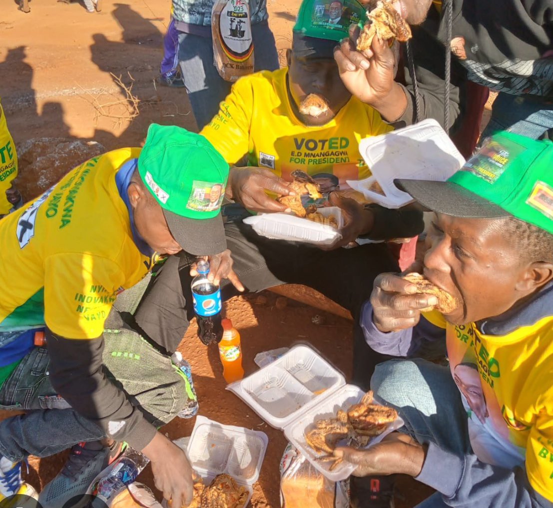 Fadzayi Mahere🇿🇼 tweet media