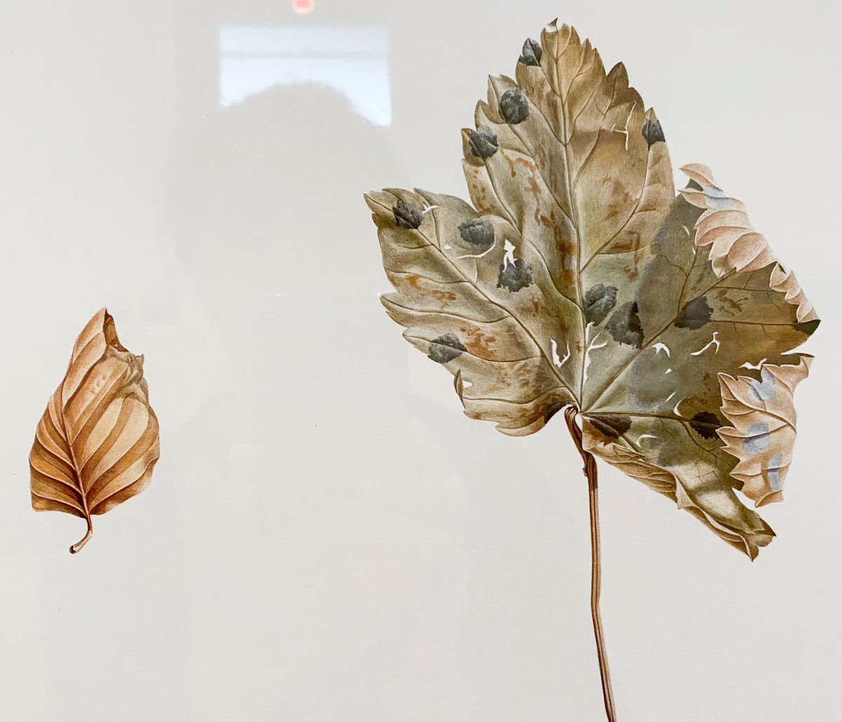 Shichijiro tweet media