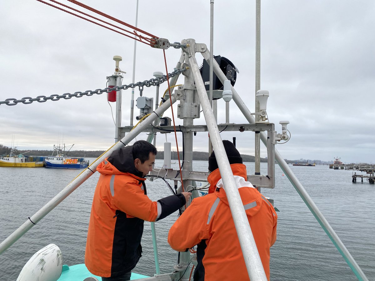 Marine Thinking tweet media