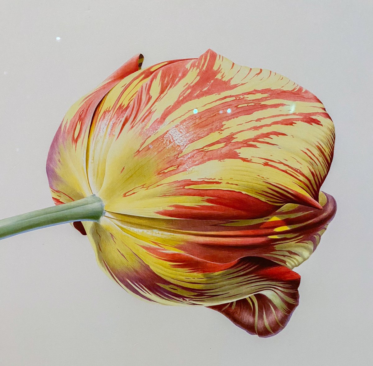 Shichijiro tweet media