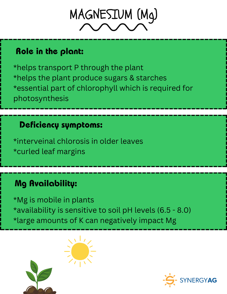 Mg is a secondary macronutrient &amp; very mobile in the plant. Deficiency symptoms will 1st appear in older leaves. Mg helps move P through the plant. Mg availability will depend on the soils pH &amp; amount of K in the soil.
#SynergyAg #rootsyoucancounton #fertilizer #photosynthesis