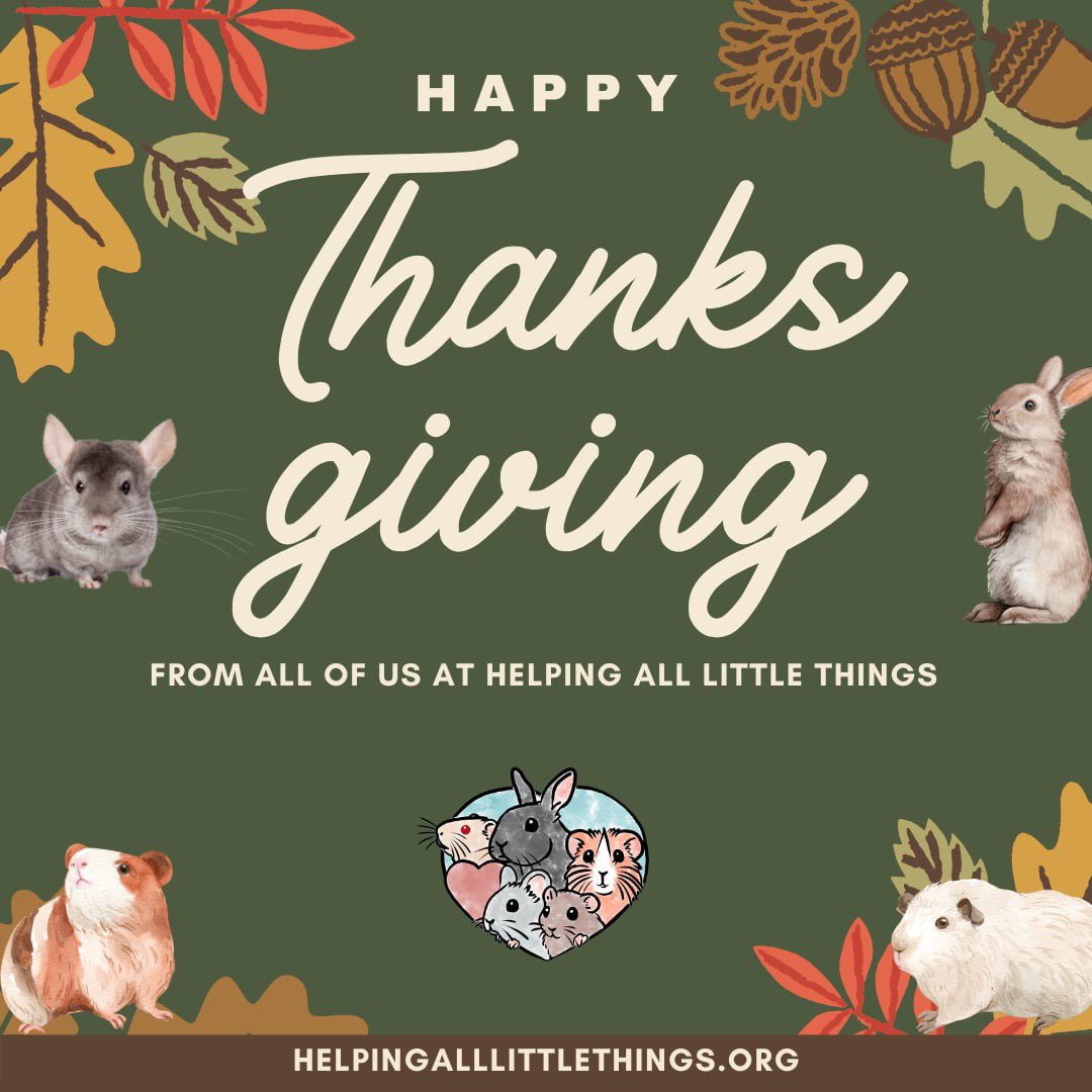 Happy Thanksgiving from all of us at Helping All Little Things! We’re so grateful for all of our volunteers, foster parents, donors, and supporters.