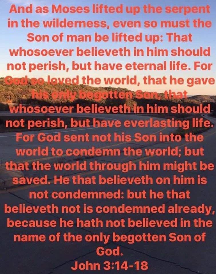 PossDoug's tweet photo. 🙏🏽♥️🌹♥️🌹LORD God, You deliver us from Egypt &amp; Pharaoh.  #DeliverUsFromEvil🙏🏽🌹@DrShayPhD her babies &amp; ALL friends/family #HappyThanksgiving🌹🌹🌹🙏🏽Help us. We thank You that You spare us. TY from sub cellular to car wrecks #TYLord+b'Shem Yeshua Meshikaynoo+Amen🌹♥️🌹♥️🙏🏽 https://t.co/lSXzt6cYNd