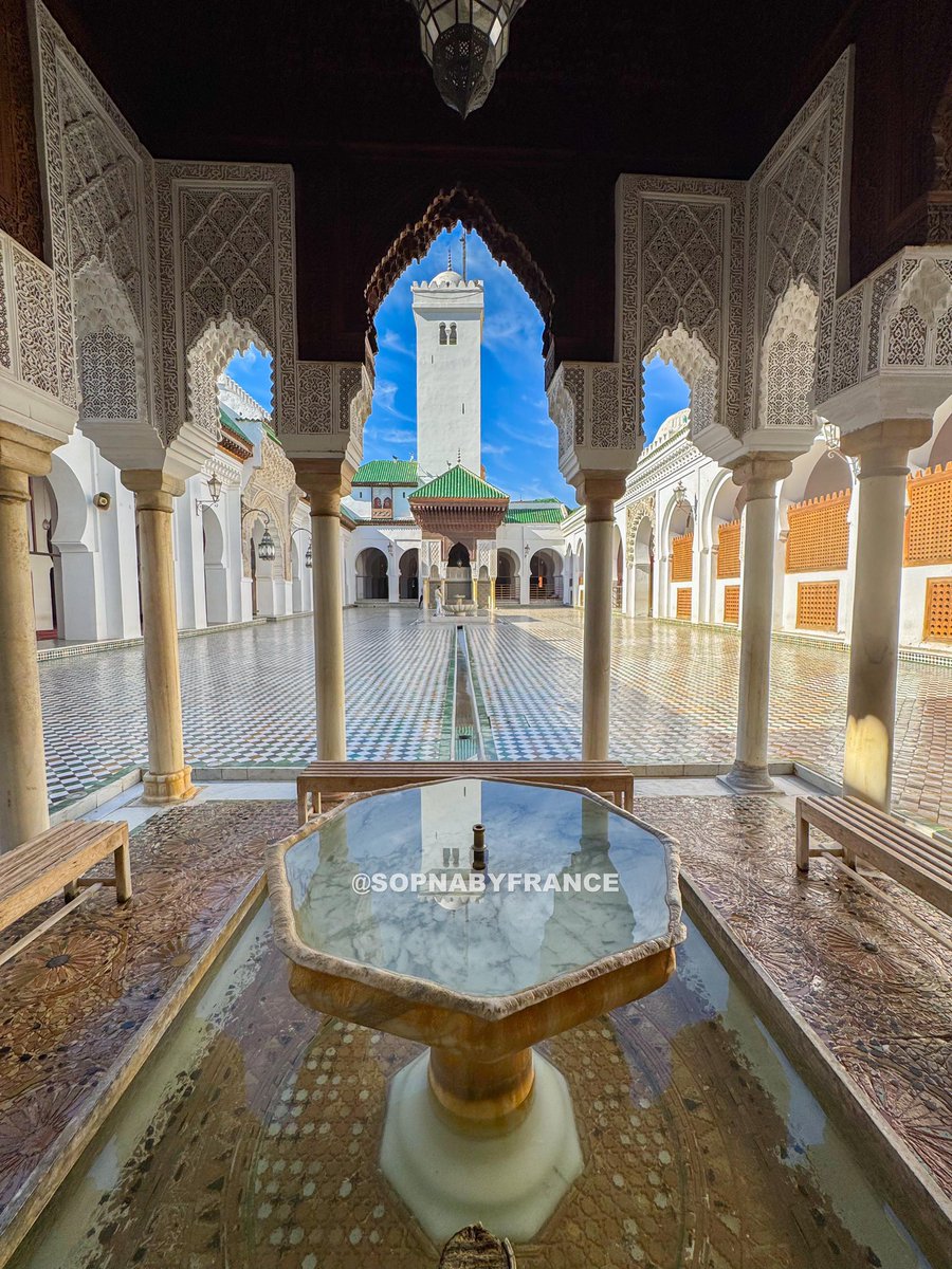 SOP NABY FRANCE❤🤝📿 (@sop_naby) on Twitter photo 