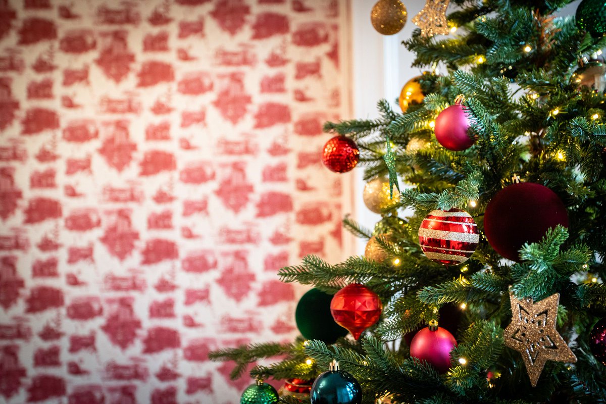 🌟 Just 3 sleeps to go! 🌟 Join us this Sunday at 2:30pm for the SSCB Tree of Light switch-on at The Scott Hotel. ❄️✨ Experience the magic of their Winter Wonderland at this free, heartwarming event. 🌲❤️
Book now! 👉 #TreeOfLight #SSCBEvent 
buff.ly/4fMglmp