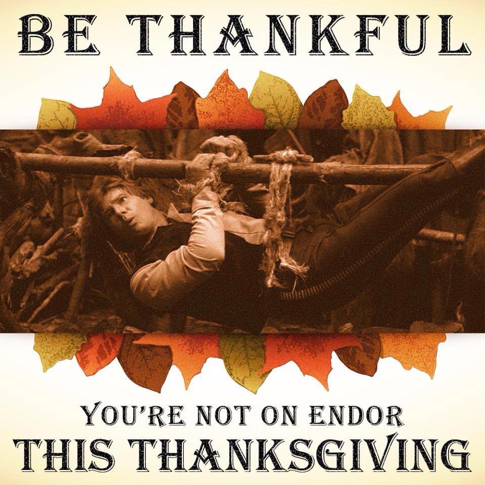 Happy Thanksgiving!!