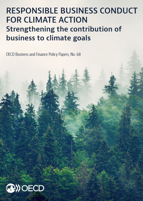 OECD released during COP 29  a very useful compass to businesses and investors to navigate multiple, and sometimes conflicting, expectations on how to address the climate crisis. Here's an overview. buff.ly/3Z7pcIm
