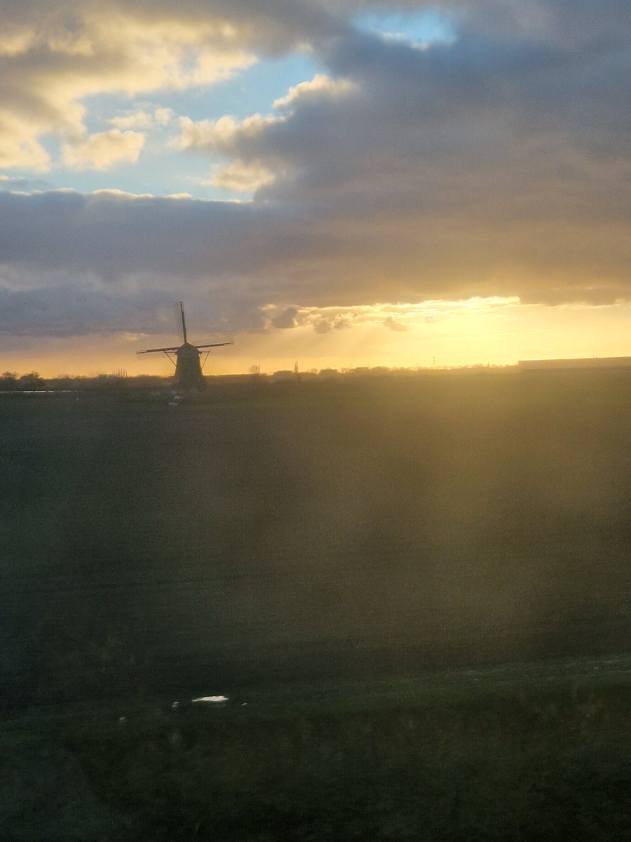 HaagseHc tweet media