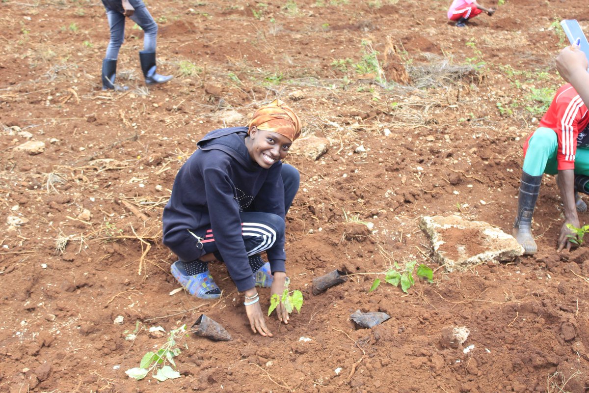 AhitiNdomba's tweet photo. Thank you Ahiti Ndomba Students for turning up enmass, huge contribution=1000 trees planted ✅️
From Admin to you all, BIG UP! Lets keep the fire burning🔥 https://t.co/LdEIjoadOt