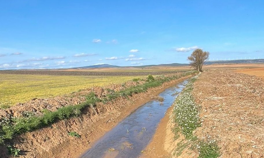 Almenar de Soria tweet media