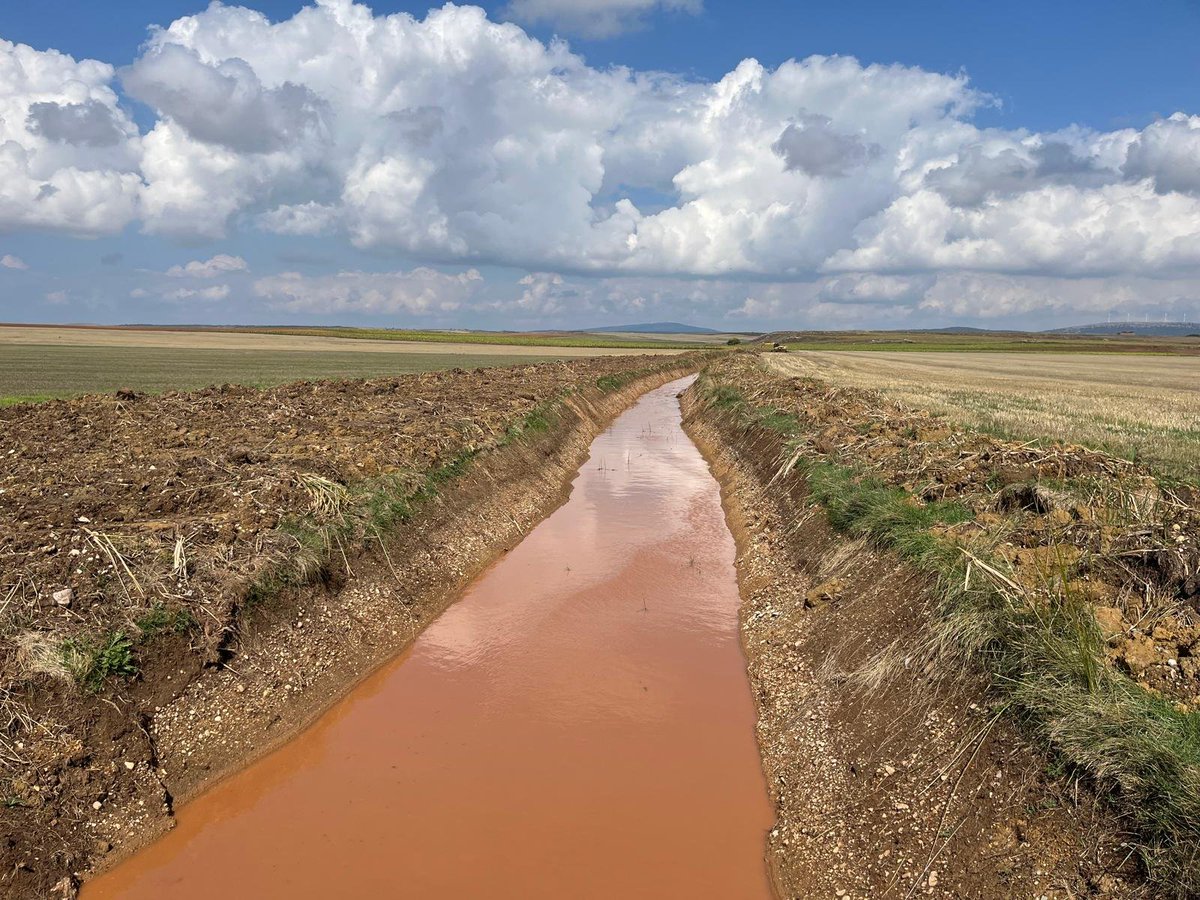 Almenar de Soria tweet media