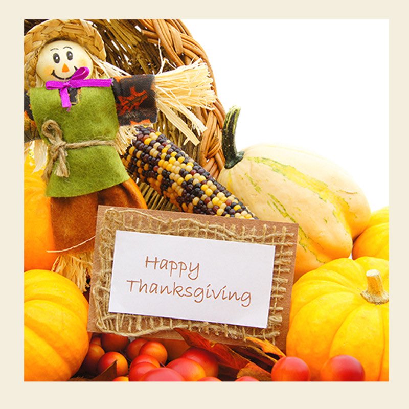 Wishing you a day filled with gratitude, good food, and great company. 🦃🥧🍂