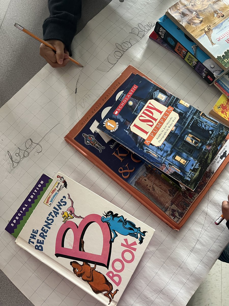 MrsDallasOCSB's tweet photo. The Grade 3s @StLukeOttawa have been learning about data. They’ve been sorting using Venn and Carroll diagrams and conducting their own surveys! #MathUP #ocsbMath 📊 https://t.co/WFWZZge366