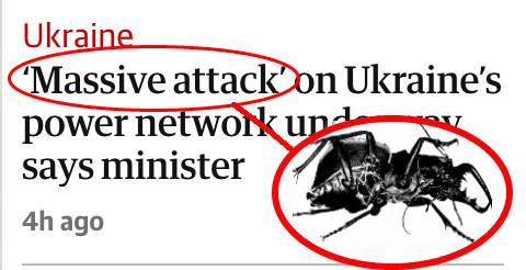 ben tweet media