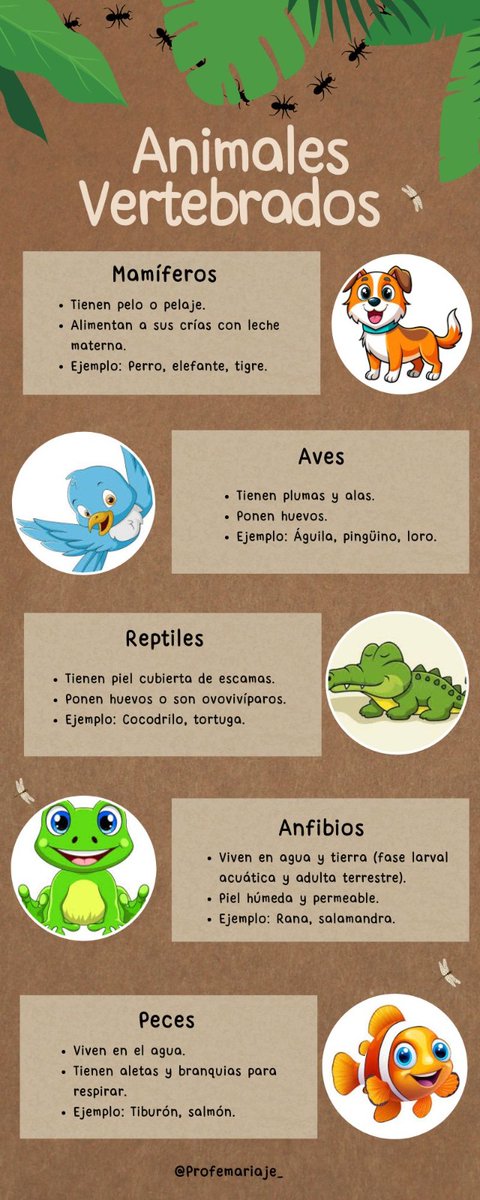 ¡Los vertebrados son fascinantes!🦧
En clase hemos descubrido los animales vertebrados 🦁🐟. 
Tienen huesos y columna vertebral, como los leones, pájaros y peces. ¡Qué divertido aprender cómo se mueven y viven! 🌍✨
#educauja