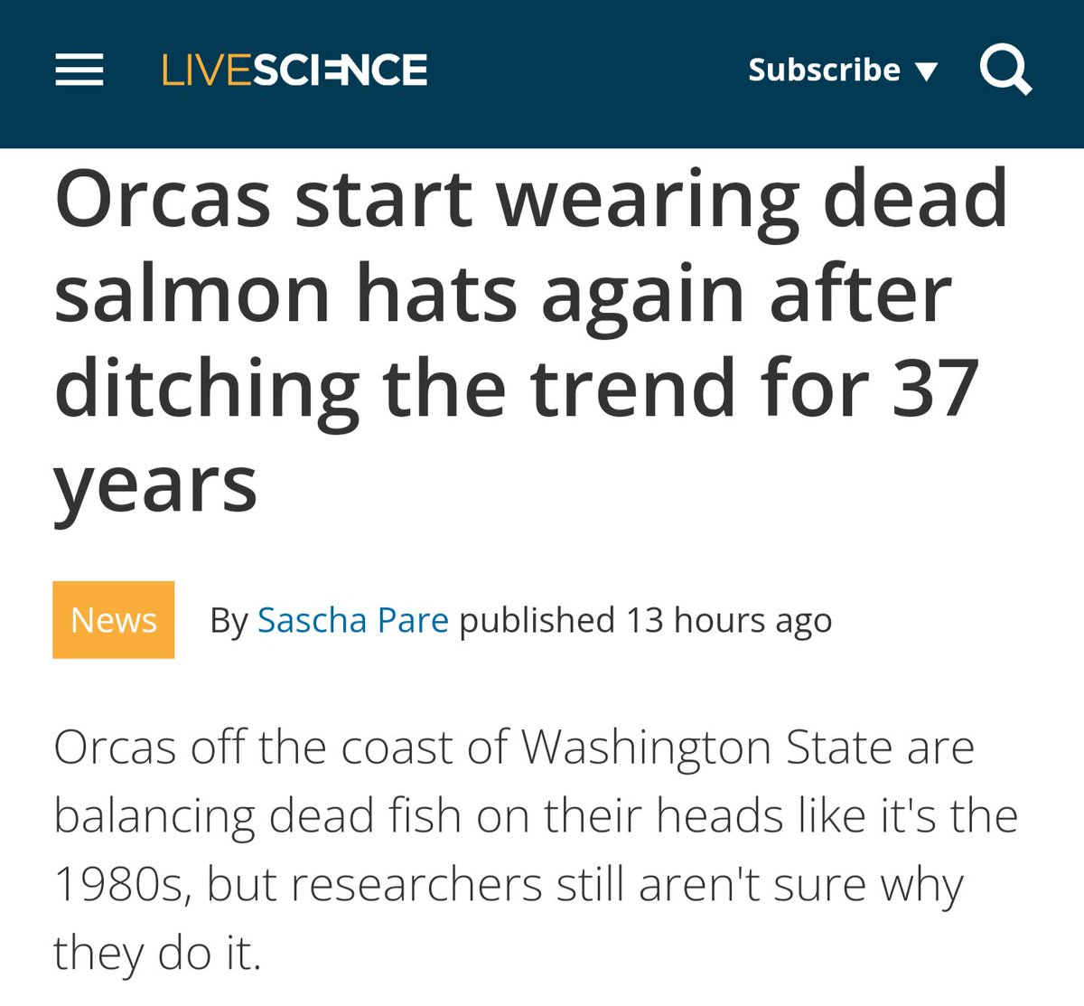 And you chumps were telling me it was time to give my dead salmon hat to Goodwill.