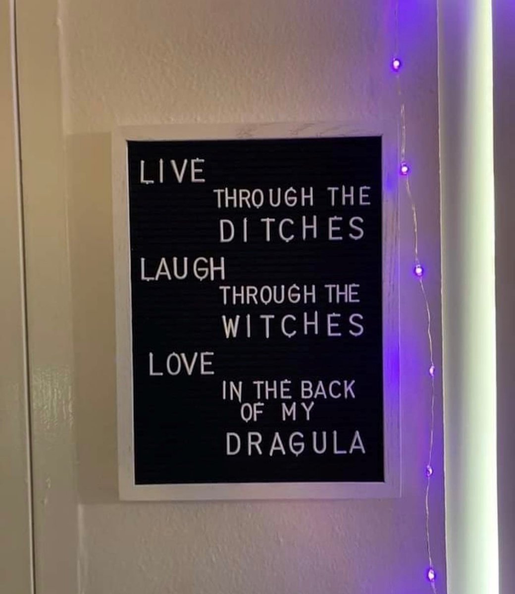 moshpetpod's tweet photo. Ellie's got some new wall art... https://t.co/poFbctwVxZ