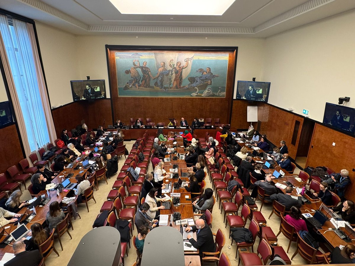 SpainUNGeneva's tweet photo. Concluye la Conferencia sobre justicia de género en #Afganistán destacando:

✔️ Compromiso político y mecanismos legales para la rendición de cuentas.
✔️ Alianzas y liderazgo de mujeres afganas ( @4afghanwomen ).

Seguimos apoyando vuestra causa.

#16DaysOfActivism #HearUs https://t.co/6buoMfQPeu