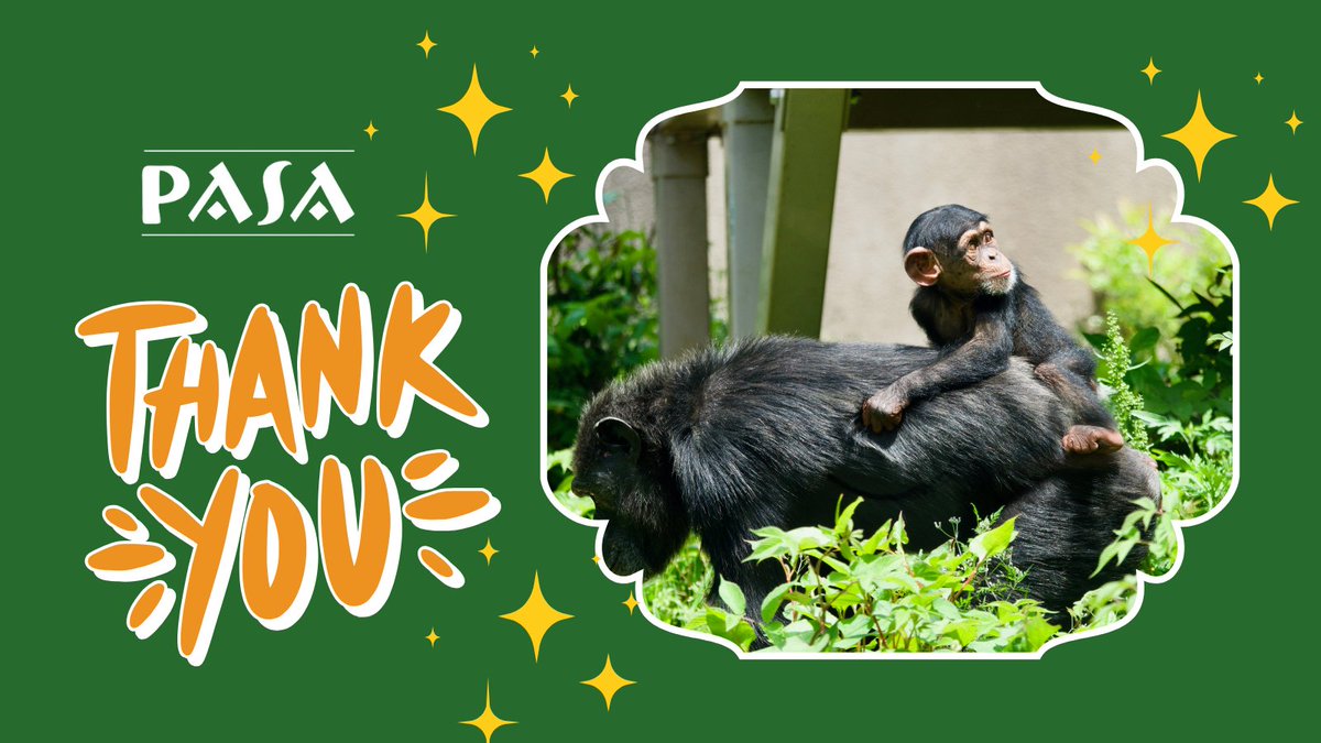 🌟 Thank You for Making a Difference 🌟

We are so grateful for YOU – our incredible supporters and advocates.

Together, we’re creating a world where primates thrive in the wild, free from harm. Thank you for being an essential part of this journey. 🐒🌿
