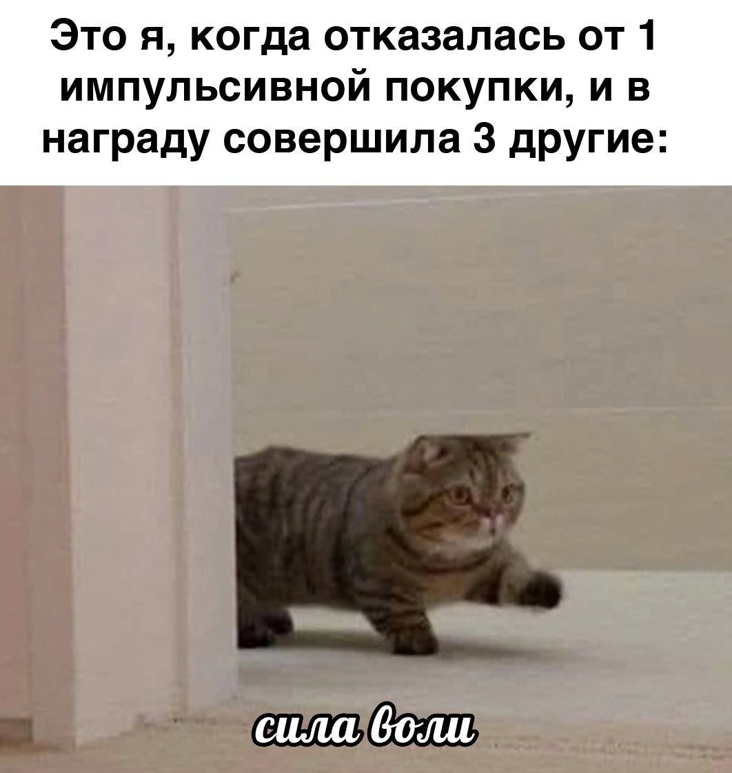 🐸жабья принцесса👑 (@kxiq7u7oc8nsgnc) on Twitter photo 