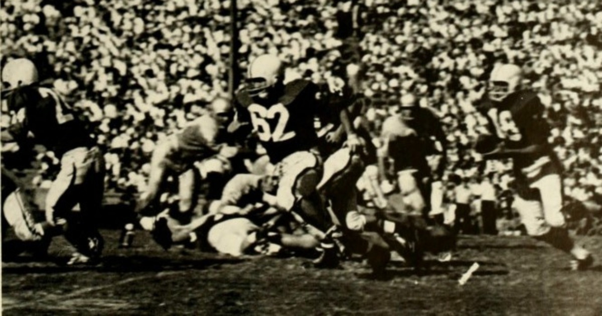 The Wolfpacker tweet media