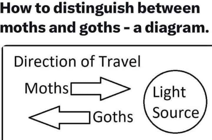 moshpetpod's tweet photo. A very important sociological distinction - thanks to @Thriftygal  for uncovering this 🦋🖤 https://t.co/Poer0PJocG