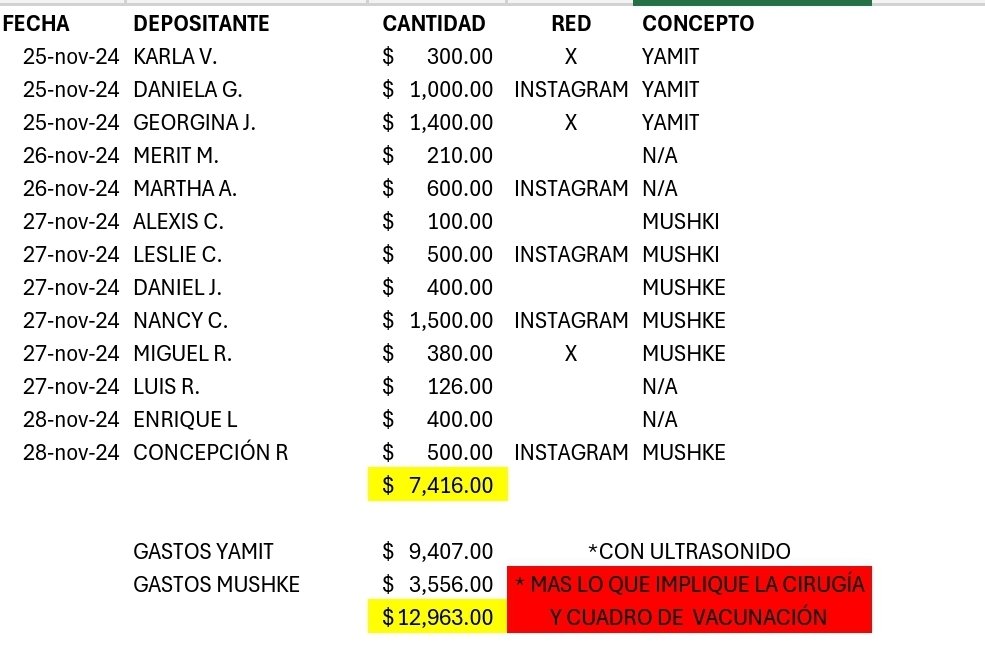 gatitosasalvo's tweet image. #Mushke y #Yamit necesitan de nosotros! 💔

#Mushke, el valiente gatito que perdió su ojito y tiene sus patitas lastimadas, y Yamit, una pequeña guerrera que luchó contra una enfermedad respiratoria pero perdió a todos sus bebés, enfrentan gastos médicos urgentes que superan los