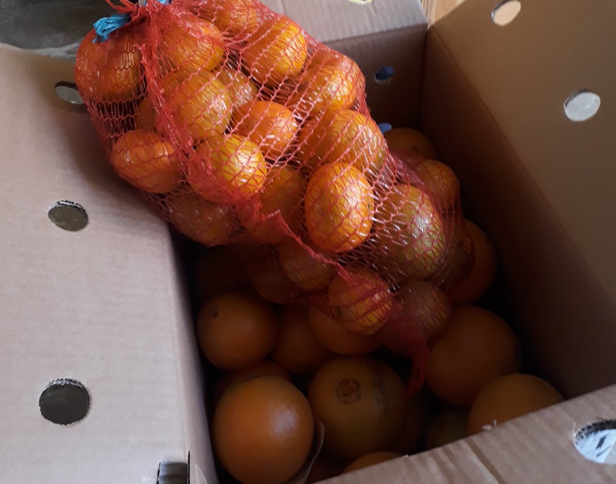 Aurantiae mandarinaque, citrea nobilia optima a <a href="/NandoDura/">Nando Durà 🍊🍊</a> culta iam domi adsunt. Quam dulcia! Emite et ea degustate.