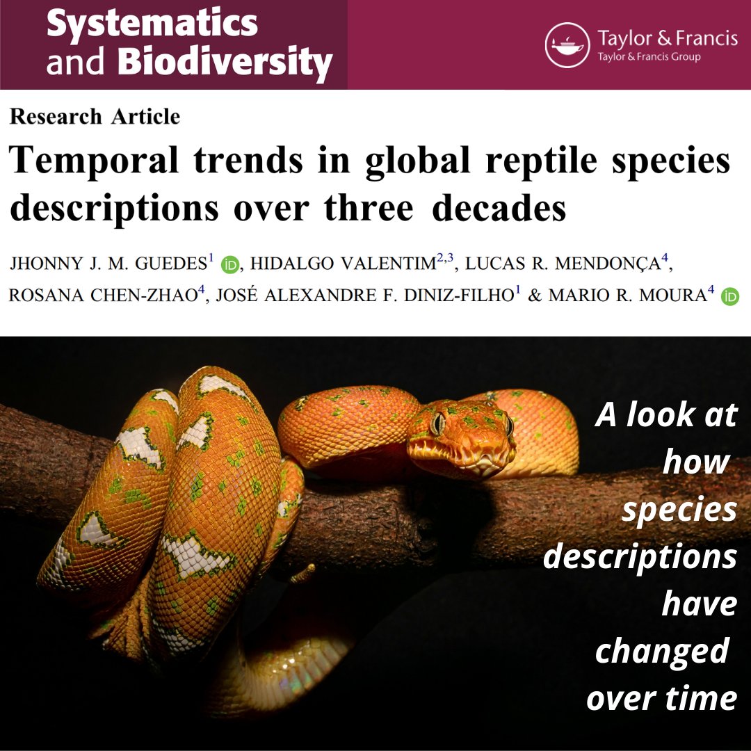 Check out our latest study in <a href="/JournalSystBio/">NHM Systematics & Biodiversity</a> on how species description methods 🔬📏🧬 have changed over time for reptiles 🐍🦎 worldwide.

Follow the thread 🧵(1/7).

<a href="/jose_dinizfilho/">José Alexandre Felizola Diniz-Filho</a>  <a href="/UFPBoficial/">UFPB</a>  <a href="/ufg_oficial/">UFG</a> <a href="/unicampoficial/">unicampoficial</a> 

mariormoura.wordpress.com/2024/11/28/pap…