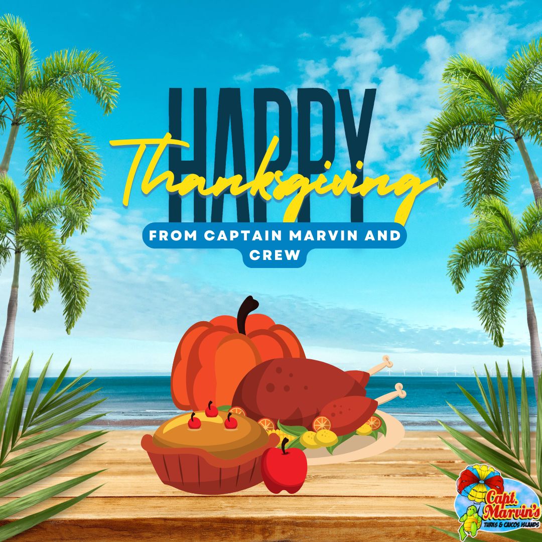 CaptainMarvin4's tweet photo. "Happy Thanksgiving to all of our American friends! 🍂🦃 From Captain Marvin and the entire crew, we’re so grateful for your support and wish you a day filled with love, laughter, and plenty of good food. 

Enjoy the holiday with those who matter most! 🙏💙 
.
.
.
.
#thanksgiv... https://t.co/nI0fQJfC7I