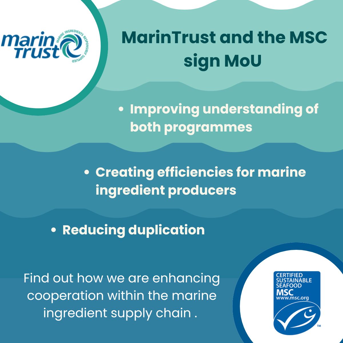marintrust tweet media