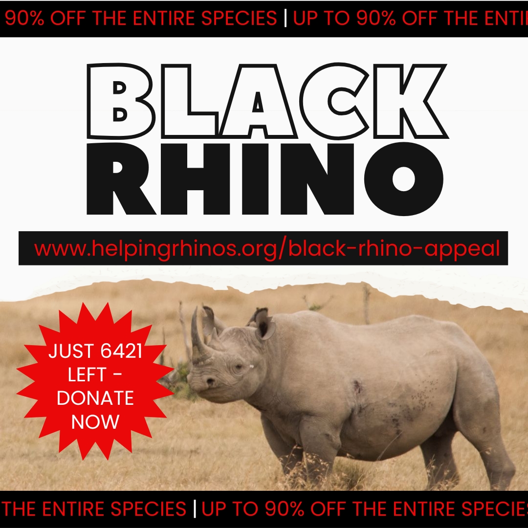 Since the 1960’s around 90% of the world’s black rhinos have been lost – so this #BlackFriday we’re doing things differently &amp; launching our flash 
💥Black Rhino Appeal💥
Black Friday may be about prices going DOWN, but we need #blackrhino numbers UP ⬆️
helpingrhinos.org/black-rhino-ap…