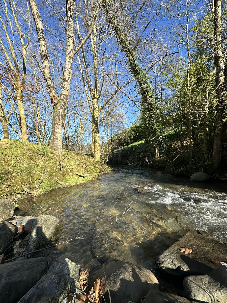 مقتطفات من اليوم التدريبي في شركة Smart Implant Solution المتخصصة في زرعات الأسنان لمقرهم في مدينة سان سبيستيان بأسبانيا 🦷🇪🇸