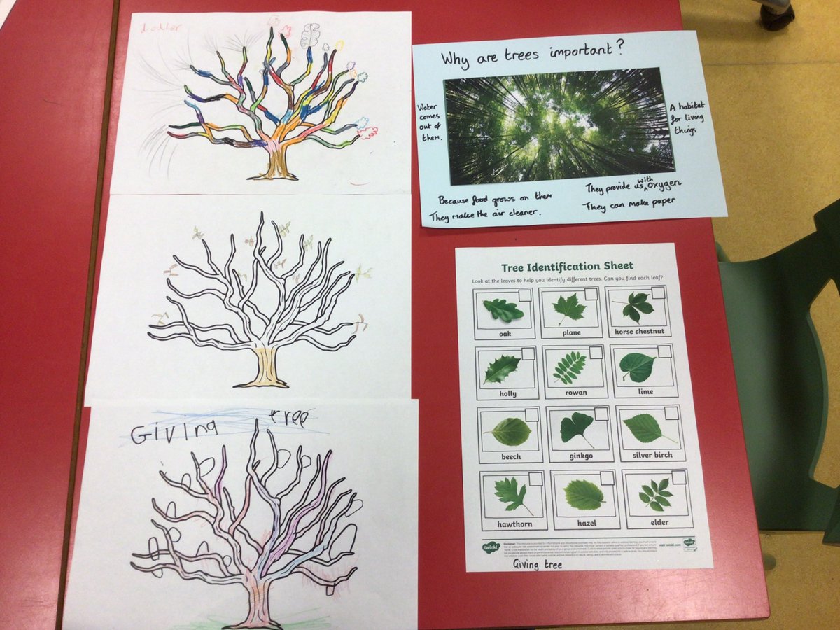 We are celebrating National Tree week in the classroom at Addenbrookes Hospital? What's your favourite tree fact? #NationalTreeWeek