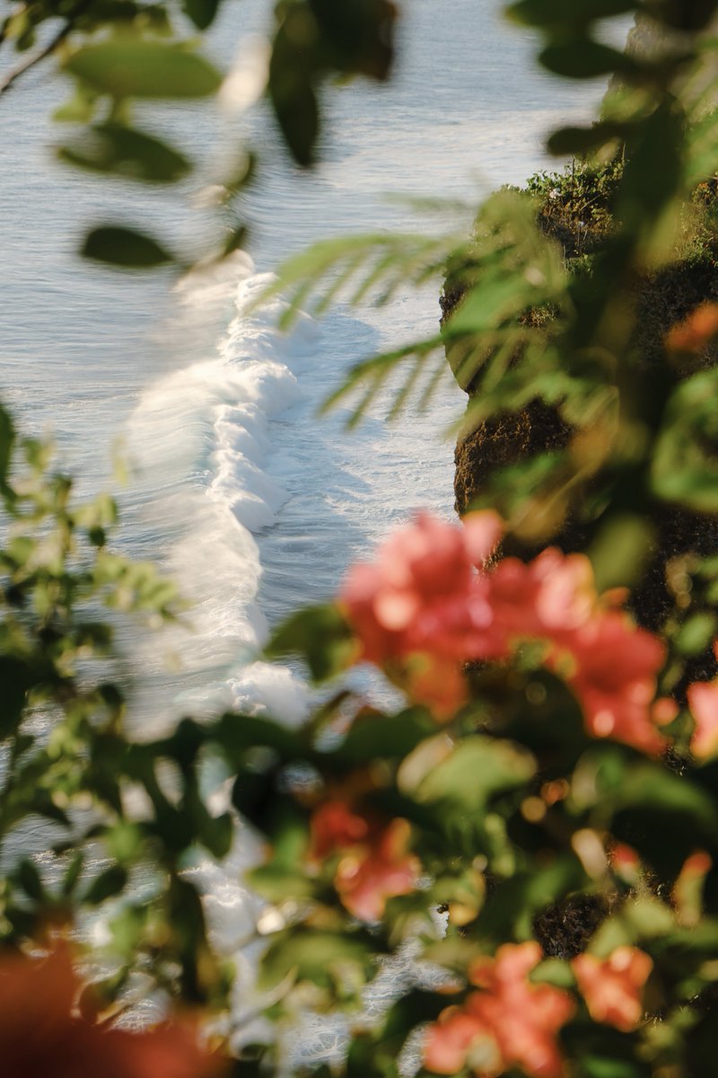 simonribc's tweet image. Bali ocean scenes