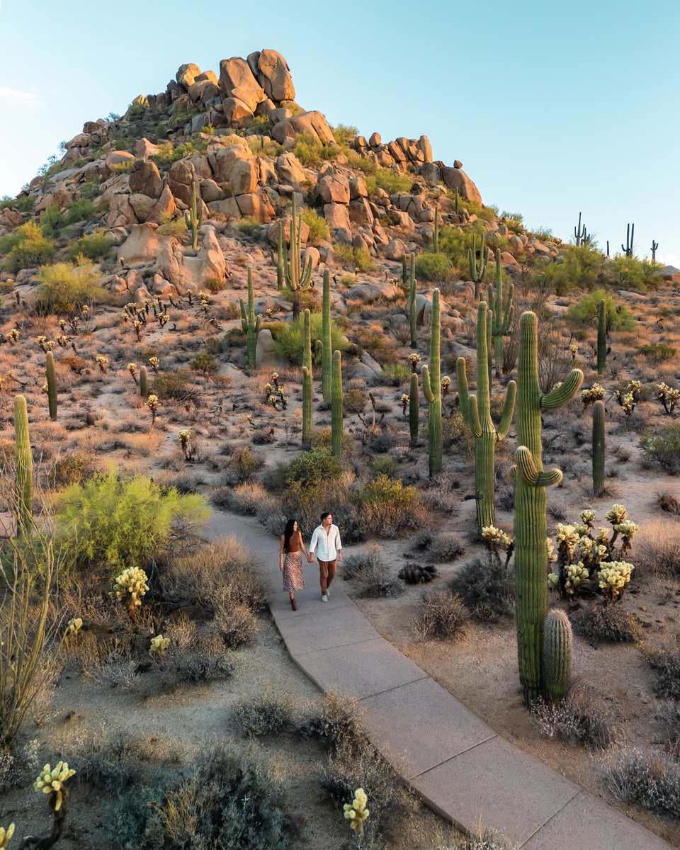 We are thankful today and everyday for the people and desert landscapes that encapsulate the beauty of our city. 

📸: Four Seasons Resort Scottsdale at Troon North