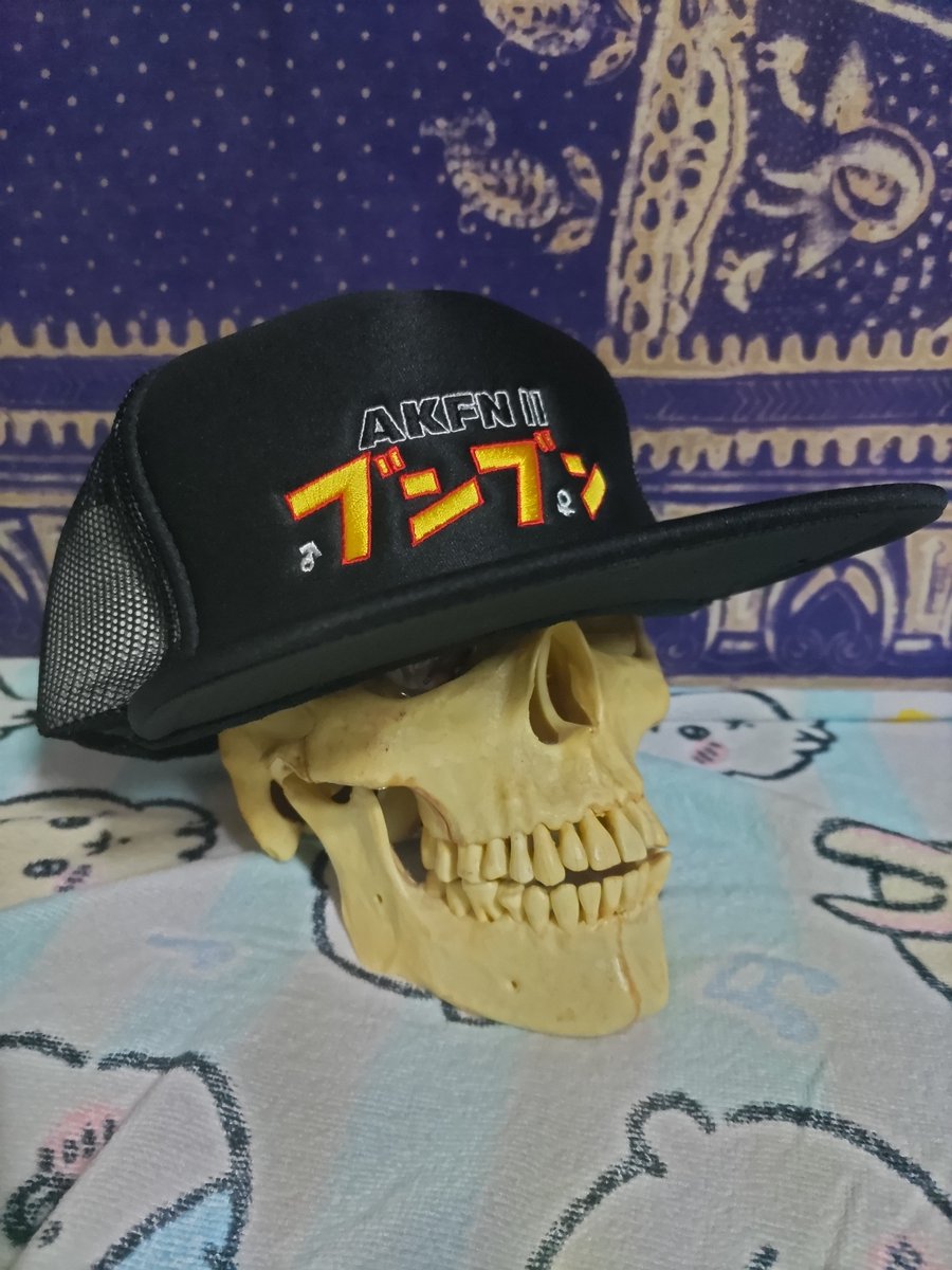 「届いたッ #AKFN #AKFN2 #アフカン #アフリカンカンフーナチス 」|サークルやくいほんのイラスト