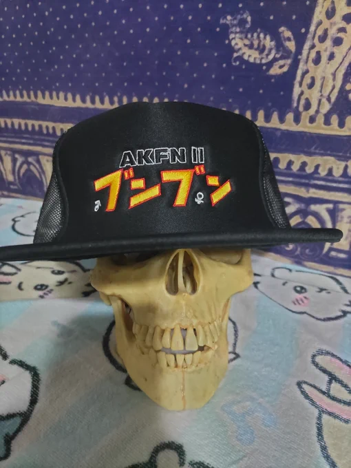 届いたッ #AKFN #AKFN2 #アフカン #アフリカンカンフーナチス 