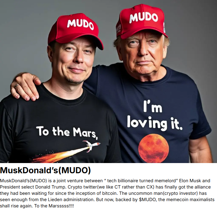 SOLPAD #SPAD | The Future Of Decentralized Funding tweet media