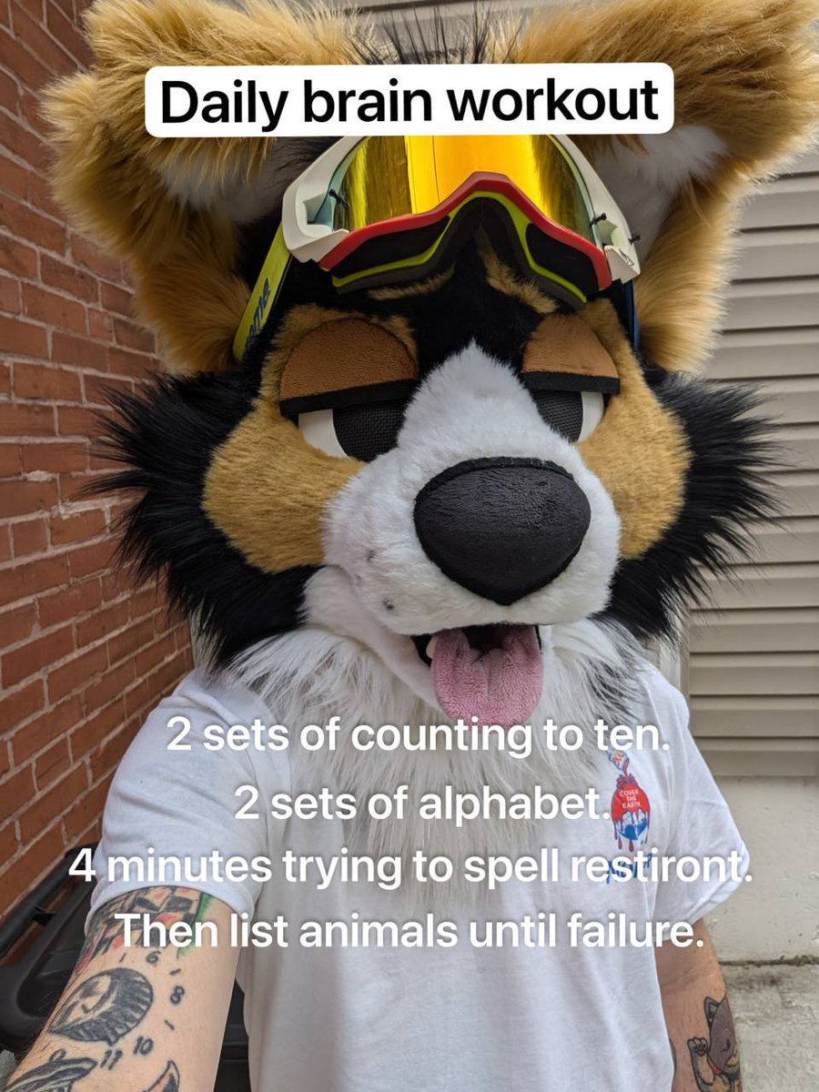 norf 🫠 tweet media