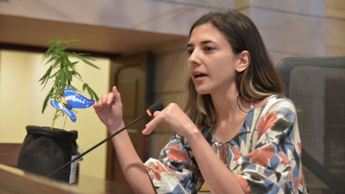 inverxia_co's tweet photo. #Respuesta a @SusanaBoreal | Como docente universitario hace una década, siento una profunda indignación por los comentarios de la rep del @PactoHistorico. Va hilo con estadísticas de la importancia de la educación.

Agrego, es una absoluta verguenza que sea de la U de A. https://t.co/8Qi8CKitze