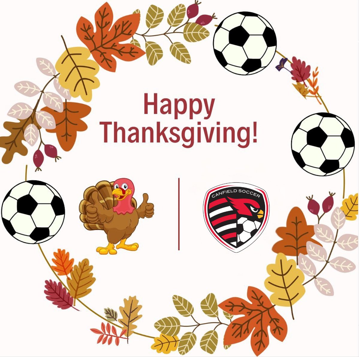 Canfield HS Soccer tweet media